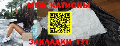 сатива Кингисепп