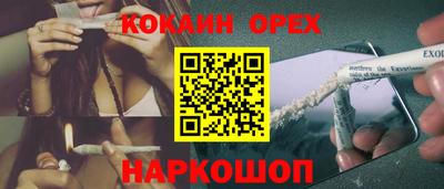 сатива Кингисепп