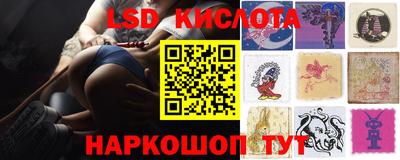 сатива Кингисепп