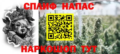 сатива Кингисепп