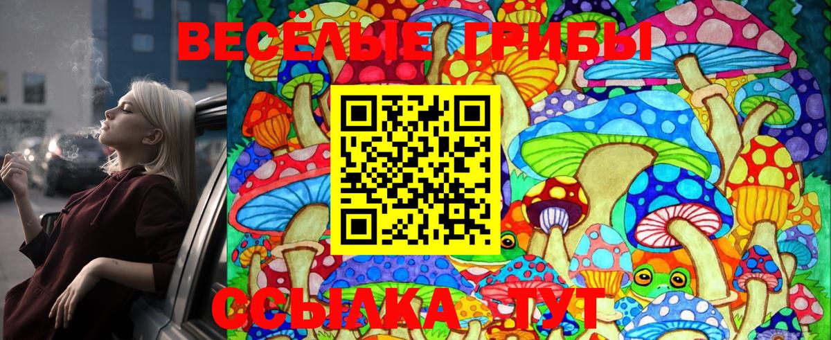 Псилоцибиновые грибы Psilocybine cubensis Коркино